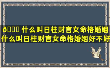 🐟 什么叫日柱财官女命格婚姻（什么叫日柱财官女命格婚姻好不好）